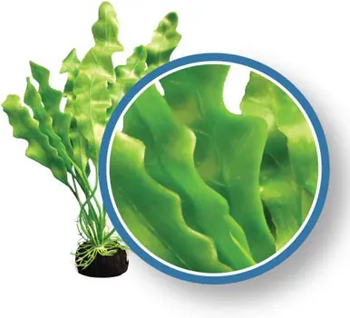 Weco Plant Amazon Ruffle 12" - Aquarium Supplies