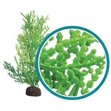 Weco Plant Giant Halimeda 12" - Aquarium Supplies
