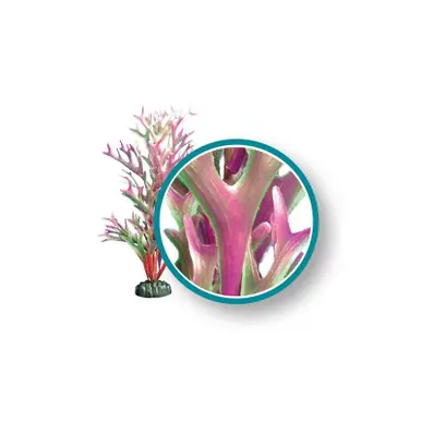 Weco Plant Red Kelp 12" - Aquarium Supplies