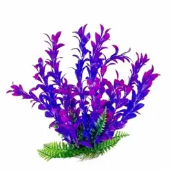 Aquatop Plant Hygrophila Pink/Purple 9" - Aquarium Supplies