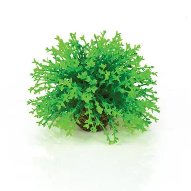 Biorb Flower Ball Topiary - Aquarium Supplies
