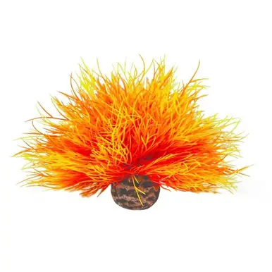 BiOrb Orange Sea Lily - Aquarium Supplies