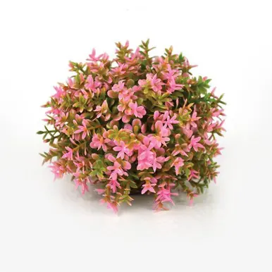 Biorb Pink Flower Ball Topiary - Aquarium Supplies