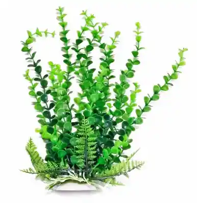 Aquatop Plant Bacopa 6" - Aquarium Supplies