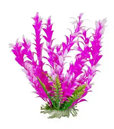 Aquatop Plant Bacopa Pink/White 6" - Aquarium Supplies