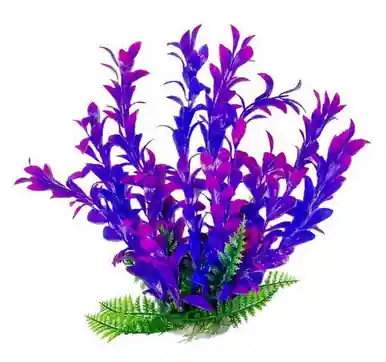 Aquatop Plant Hygrophila Pink/Purple 6" - Aquarium Supplies
