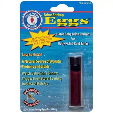 Bay Brand Brine Shrimp Eggs 6 GM - Aquarium Supplies