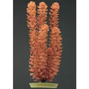 Marina 12" Foxtail - Aquarium Supplies