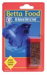 Bay Brand Betta Food 1 gm Vial (Bloodworms) - Aquarium Supplies