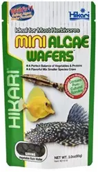 Hikari Mini Algae Wafers 0.77 oz - Aquarium Supplies
