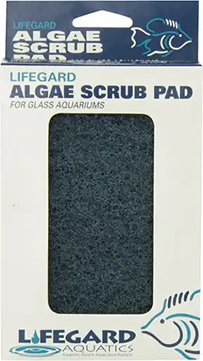 LifeGard Glass Algae Pad 4"x6" - Aquarium Supplies