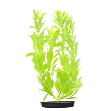 Marina 8" Baby Green VibraScaper Hygro - Aquarium Supplies