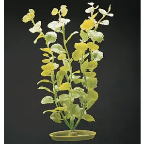 Marina 8" Cardamine - Aquarium Supplies