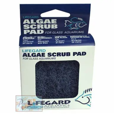 LifeGard Glass Algae Pad 3"x3" - Aquarium Supplies