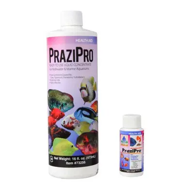 Hikari Prazipro Parasite Treatment 1oz - Aquarium Supplies