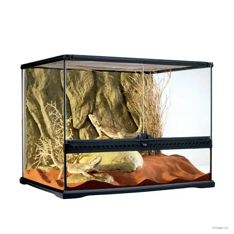 Exo Terra Terrarium, Medium Wide - Terrariums/Cages