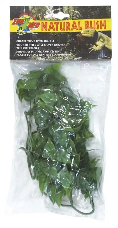 Zoo Med Mexian Phyllo, Small - Reptile/Turtle/Insect Supplies