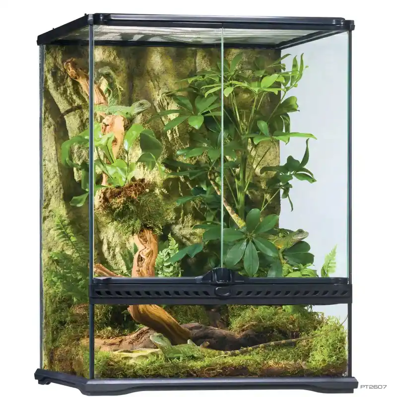 Exo Terra Terrarium, Small Tall - Terrariums/Cages