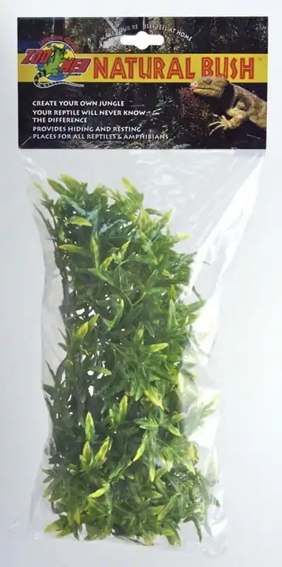 Zoo Med Bolivian Croton, Medium - Reptile/Turtle/Insect Supplies