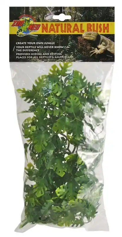 Zoo Med Amazonian Phyllo, Medium - Reptile/Turtle/Insect Supplies