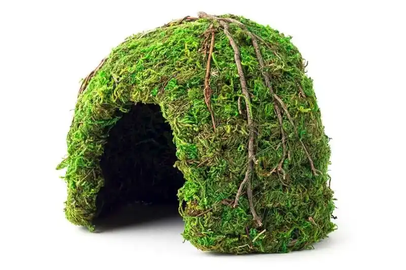 Galapagos Mossy Dome Hideaway Fresh Green 6 inch - Decorations/Terrarium Accessories