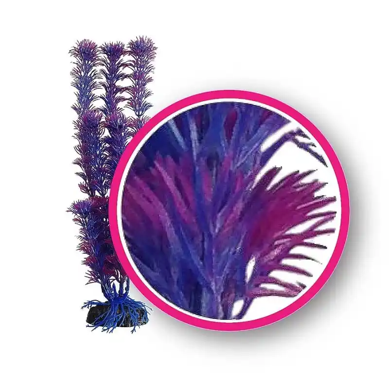 WECO Fuschia Fern 9" - Decorations