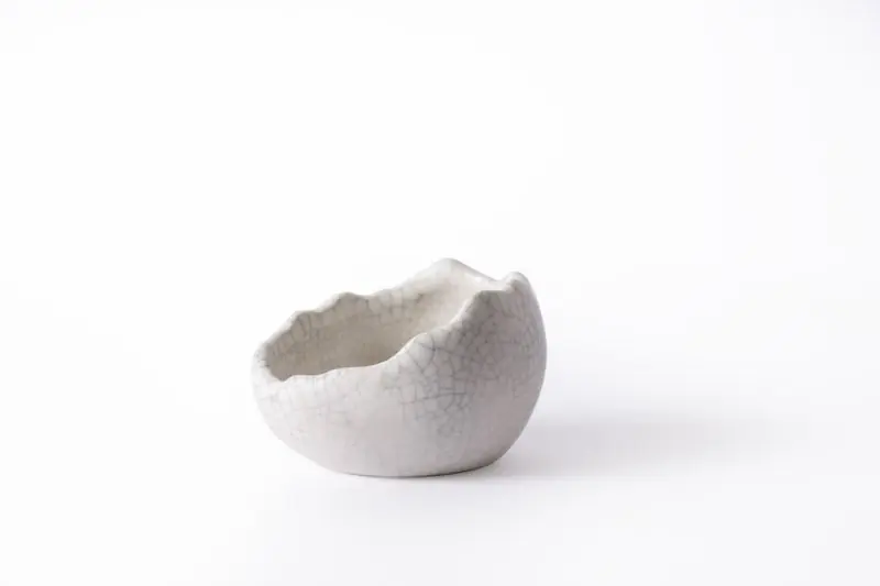 Galapagos Ceramic Egg Dish, Small - Decorations/Terrarium Accessories