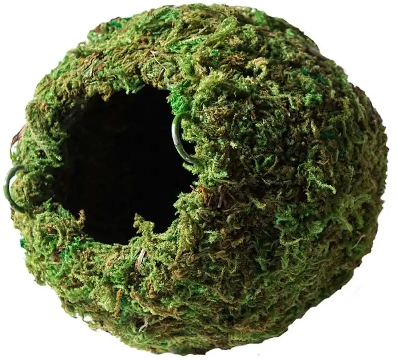 Galapagos Mossy Cave 6" - Reptile/Turtle/Insect Supplies