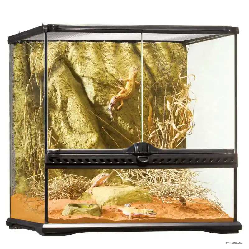 Exo Terra Terrarium, Small Wide 18"x18"x18" - Terrariums/Cages
