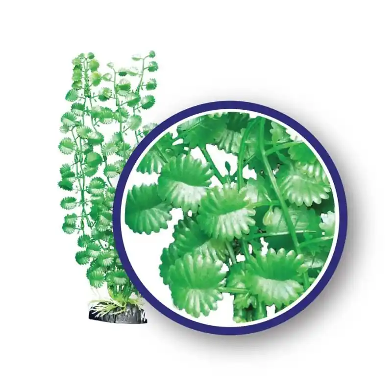 WECO Japanese Cress 12" - Decorations