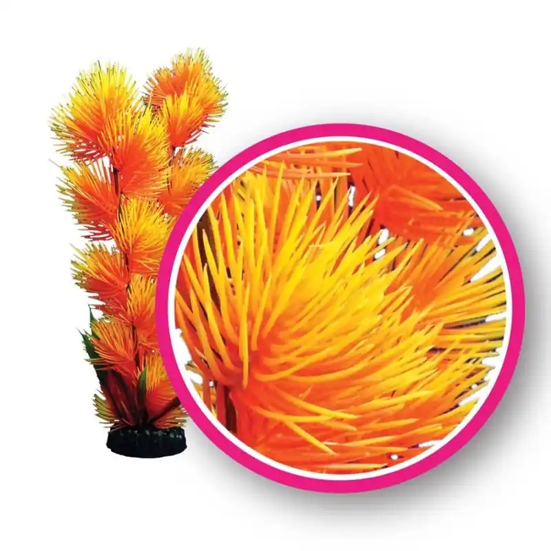 WECO Orange Pom Pom Plant 6" - Aquarium Supplies