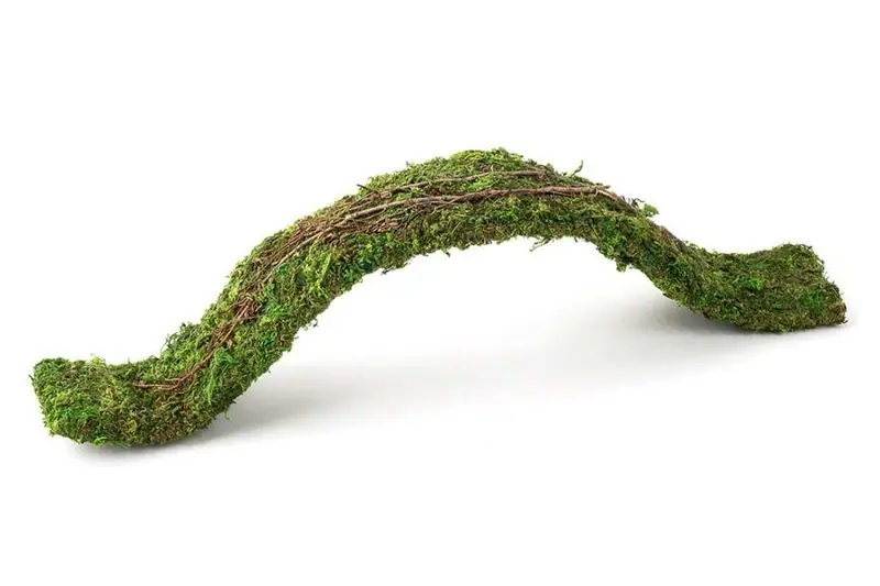 Galapagos Flexible Bridge Terrarium Ornament Fresh Green 2 ft - Decorations/Terrarium Accessories