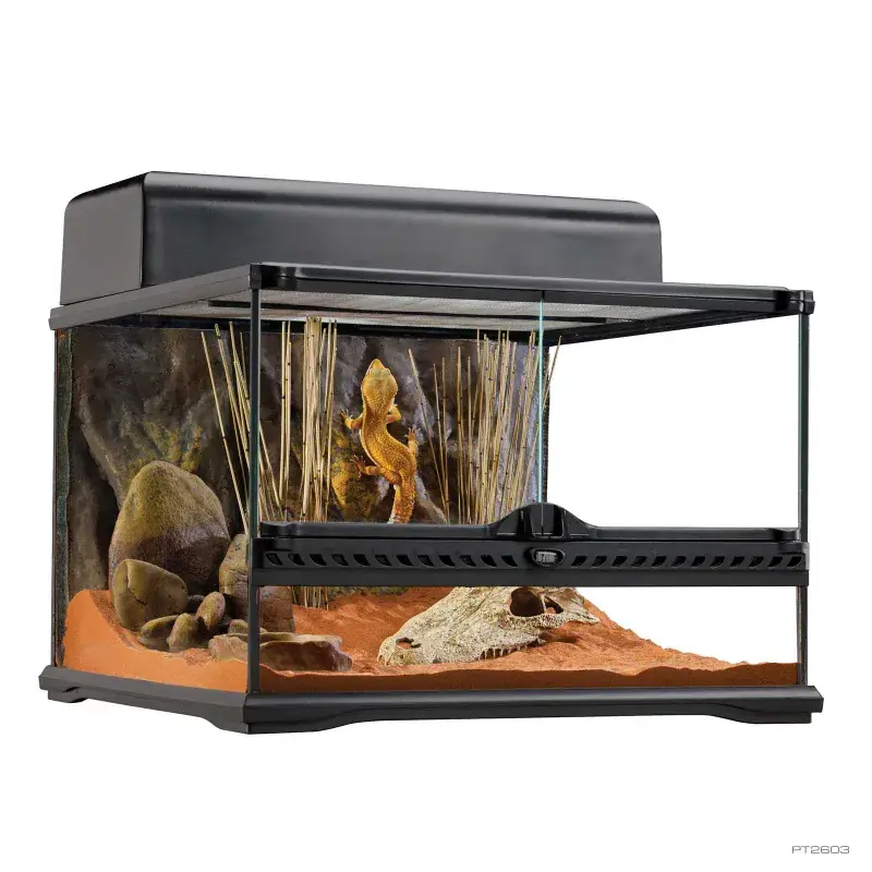 Exo Terra Small Low Terrarium 18x18x12 - Terrariums/Cages