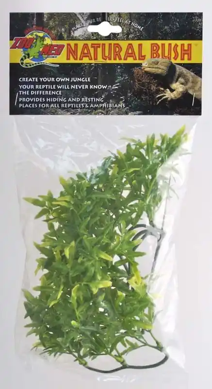 Zoo Med Bolivian Croton, Small - Reptile/Turtle/Insect Supplies