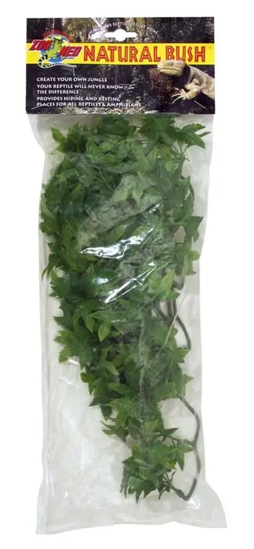 Zoo Med Congo Ivy, Medium - Reptile/Turtle/Insect Supplies