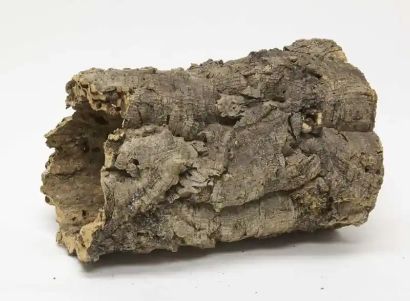Zoo Med Natural Cork Bark Full Round, Medium - Decorations/Terrarium Accessories