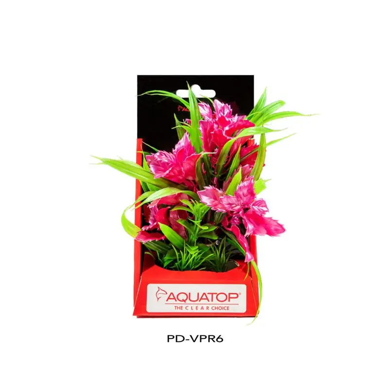 Aquatop Vibrant Passion Rose Plant 6" - Aquarium Supplies