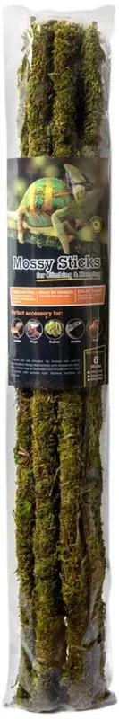 Galapagos Mossy Sticks, Fresh Green, 6 count, 24-in