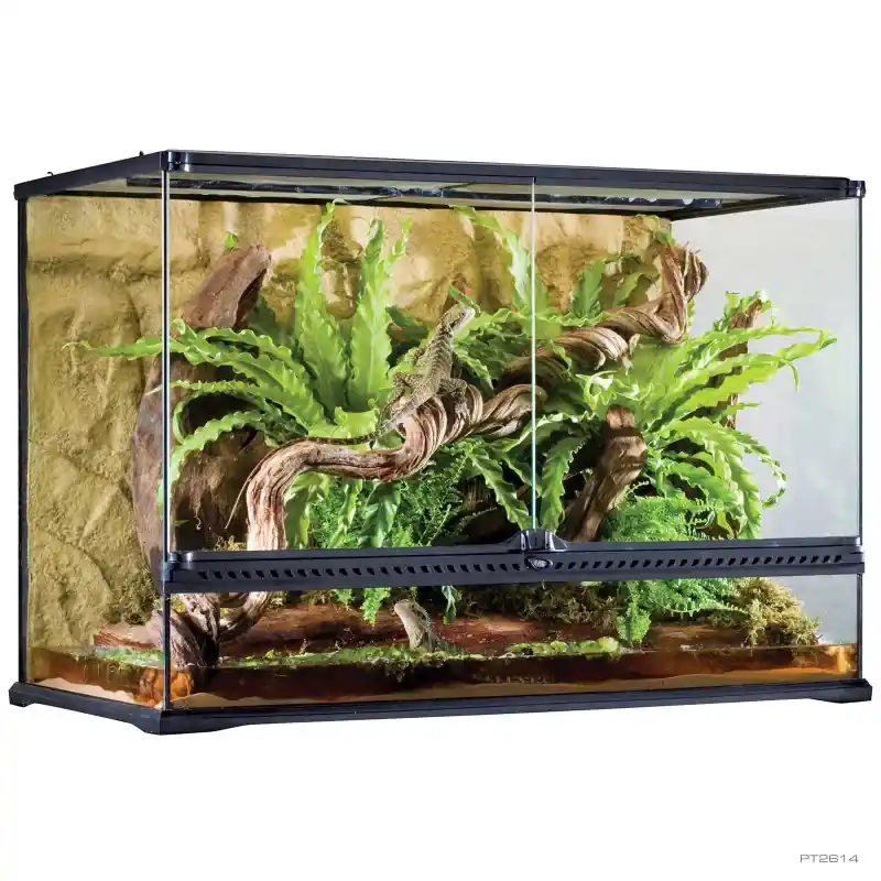Exo Terra Large Tall Terrarium - Terrariums/Cages