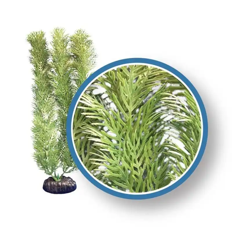 WECO Green Cabomba 6" - Decorations