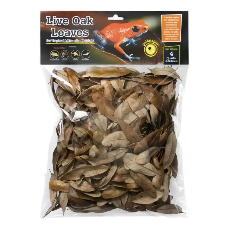 Galapagos Natural Live Oak Leaf Litter 4QT - Decorations/Terrarium Accessories
