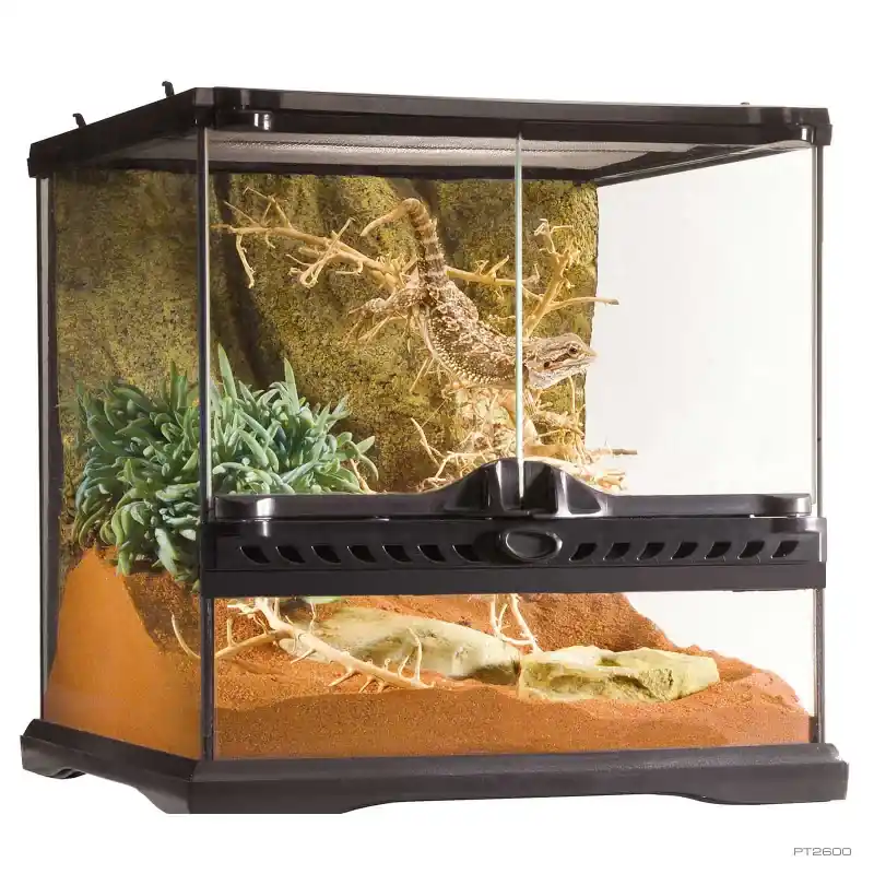 Exo Terra Mini Wide 12x12x12 - Terrariums/Cages