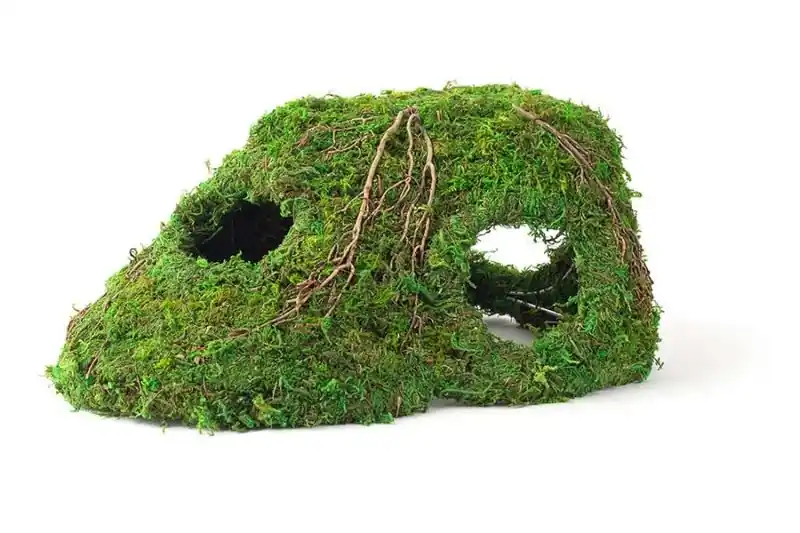 Galapagos Sapa Corner Hide Terrarium Hideaway Fresh Green 10 inch - Decorations/Terrarium Accessories
