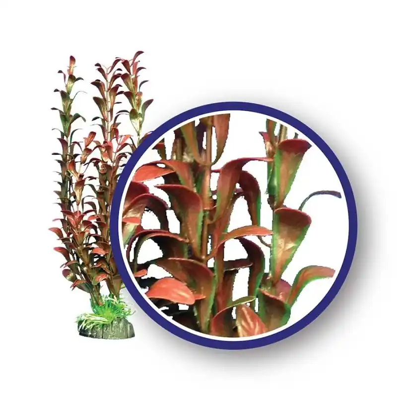 WECO Red Hygrophilia 9" - Decorations