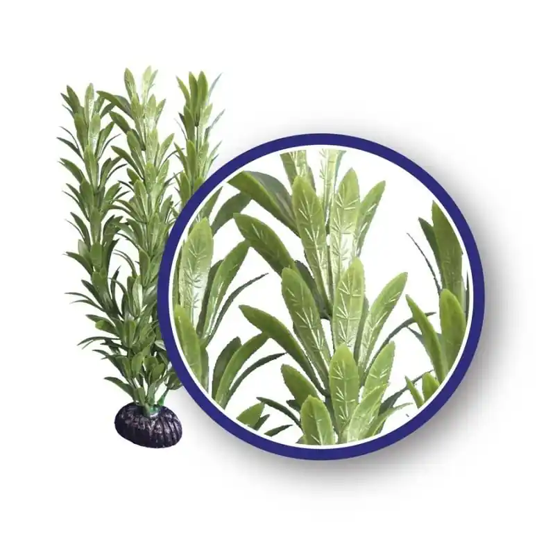 WECO Anacharis 6" - Decorations