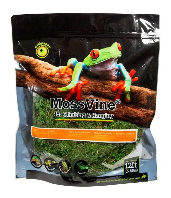 Galapagos Moss Vine for Hanging & Climbing Fresh Green 12 ft - Decorations/Terrarium Accessories