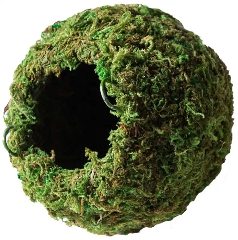 Galapagos Mossy Cave Terrarium Hideaway 4 inch - Decorations/Terrarium Accessories