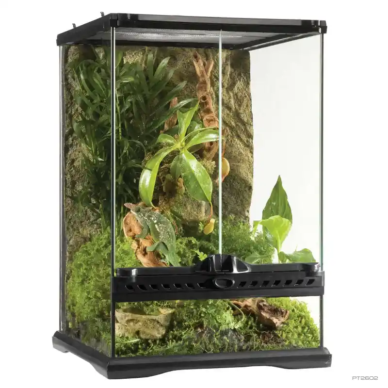 Exo Terra Natural Terrarium, Mini Tall - Terrariums/Cages