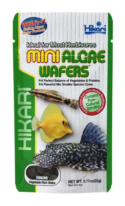Hikari Mini Algae Wafers .77oz - Aquarium Supplies