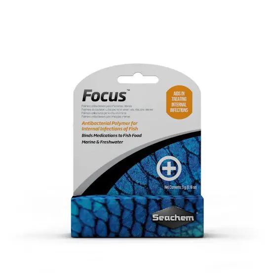 Seachem Focus Antibacterial Polymer 5g - Medication